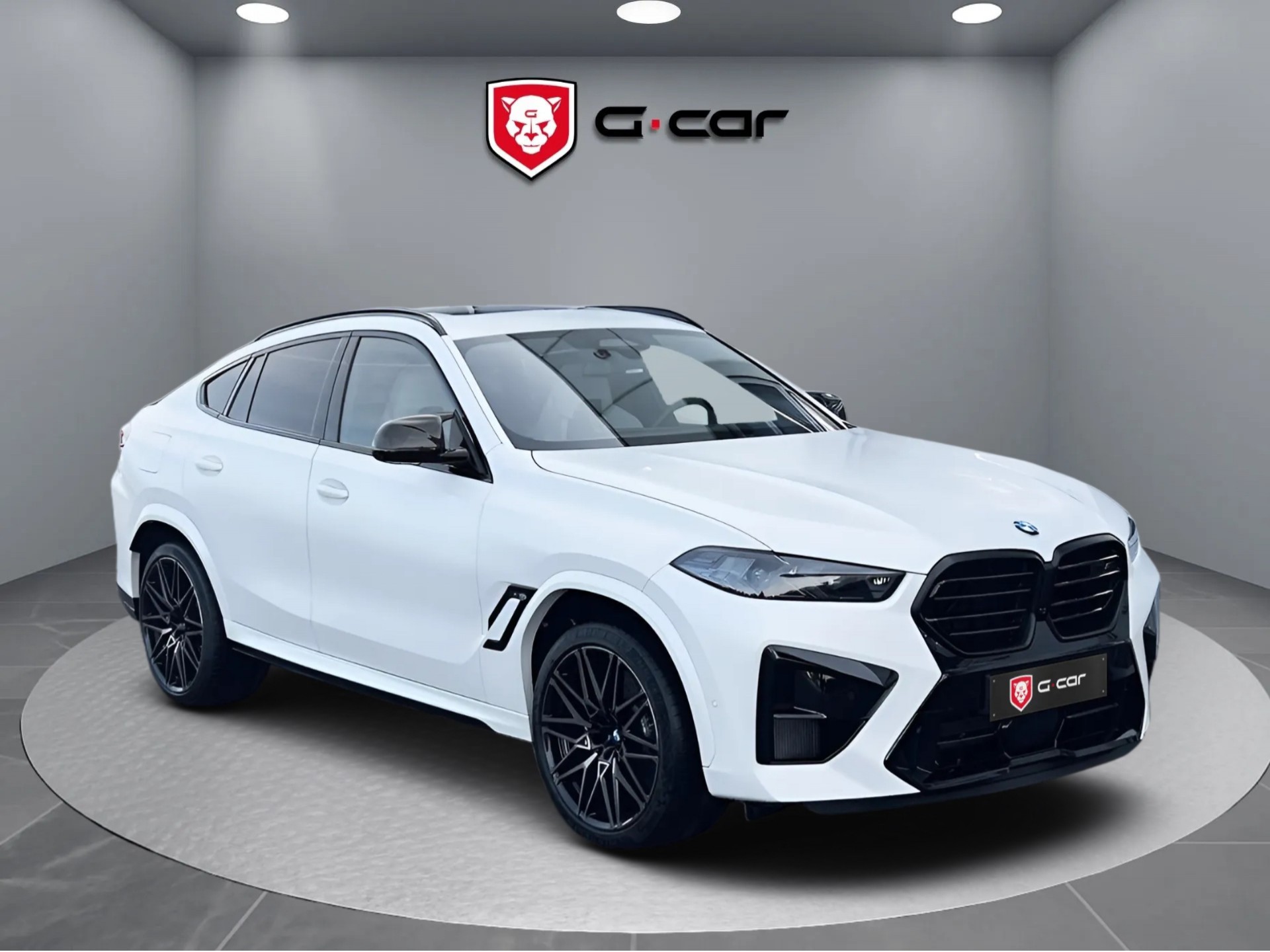 BMW X6 M Competition 460 kW