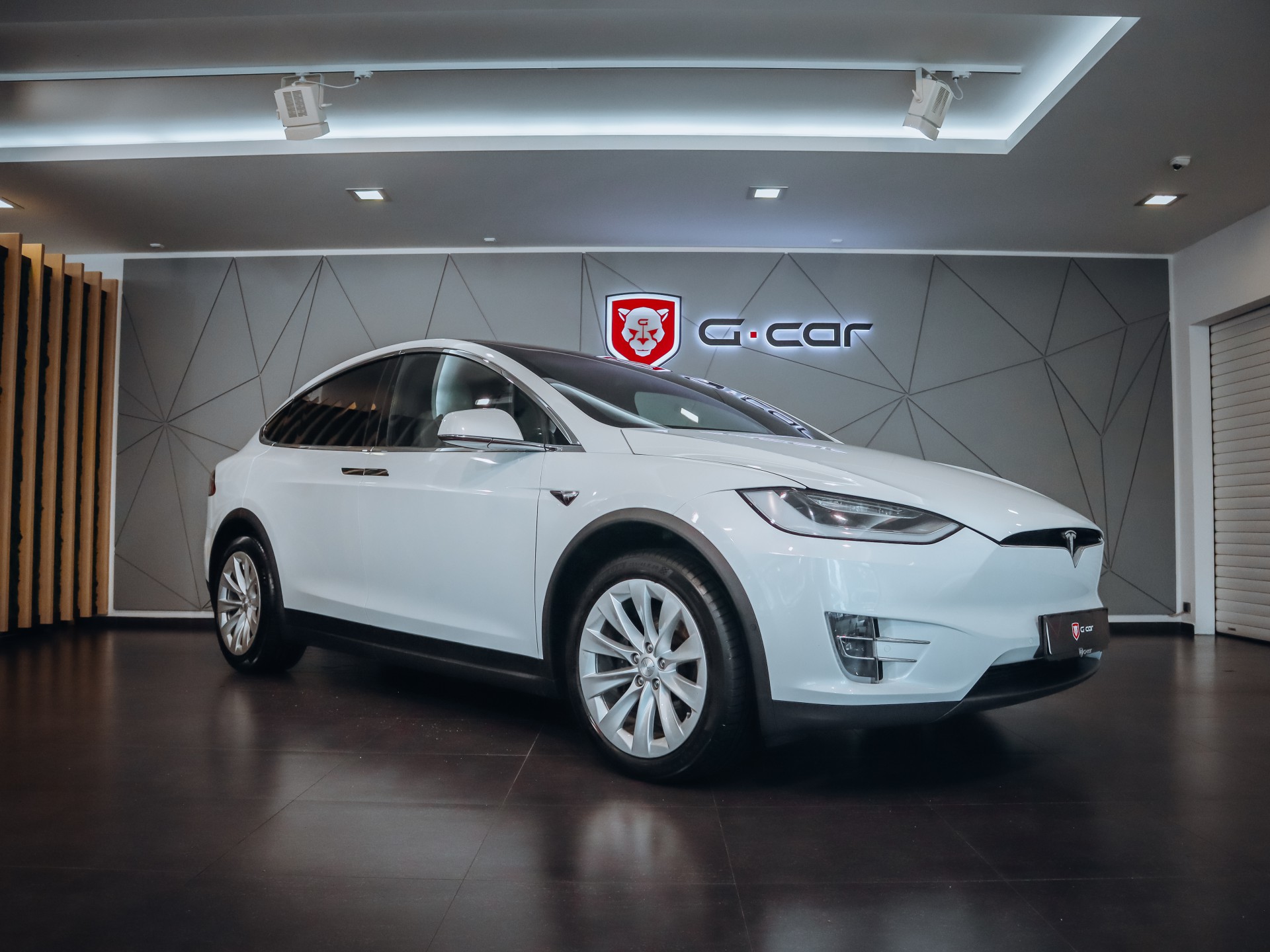 Tesla Model X Long Range 421kW AWD
