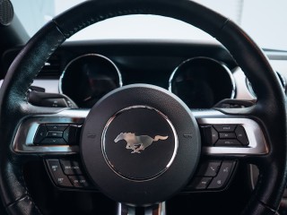 Ford Mustang 5.0 V8 GT